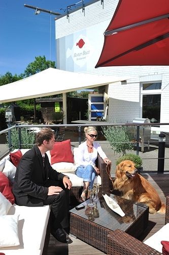 Hafenhotel Pommernyacht Hotel Ueckermünde